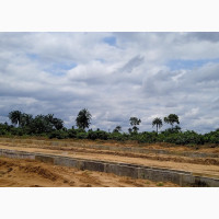 Plots of Land at Peter Odili - Aleto - Alesa Link Road