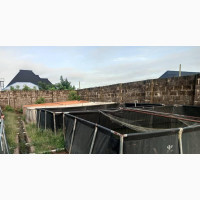 Fish Tarpaulins