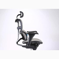 Executive Orthopedic Ergonomic Mesh Office Chair