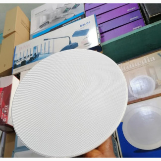 Full Range Inceiling Speaker With Low, Mid High Frequency