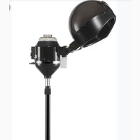 Standing Hair Steamer