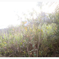Along Siluko Commercial Land