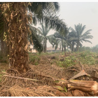 21 Plot of Land for Sale