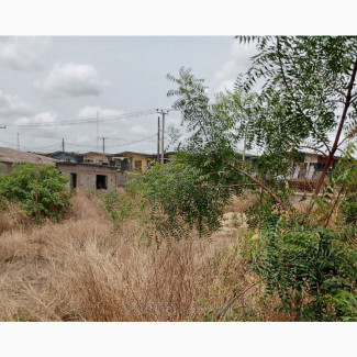 Empty Plot 100 by 100 at a Well Developed Area in Onitsha