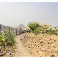 Right of Occupancy in Dawaki Estate
