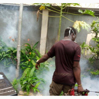 Professional Snakes Control Service by MK