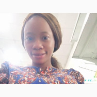 Land Surveyor