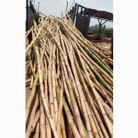 Bamboo Sticks for Supporting Dekins