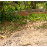 3 Plots of Land at New Jerusalem Layout