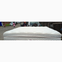 Canadian Fairly Used 14inches