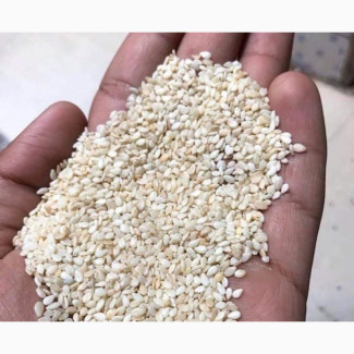 Sesame Seeds - High Quality