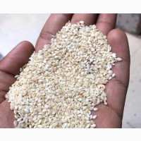 Sesame Seeds - High Quality