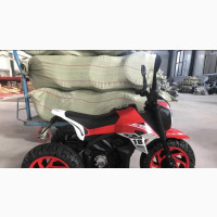 Fiero Red Power Bike