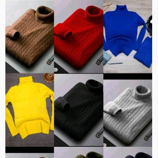 Turtle Neck and Plain Tees