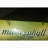 Miira -Phyll