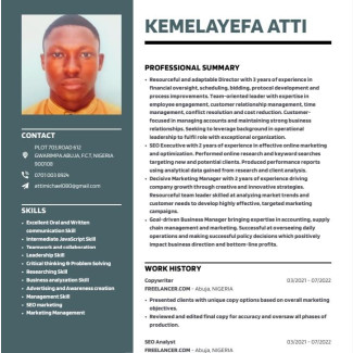 Experienced and Skilled Management CV Available