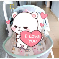 5 In 1 Baby Bassinet, Napper, Rocker Bouncer