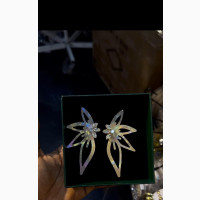 Statement Earrings/Jewelry