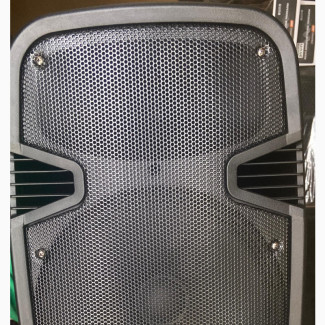 Superking Bluetooth Speaker 12”