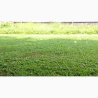 Land Available in a Secured Estate in Sangotedo