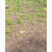 A Plot Of Land Behind Cresfield School