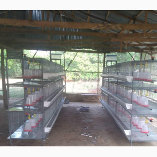 Broiler Cage - Brand New