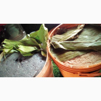 Ogiri Igbo(Castor Paste