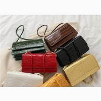 Fashionable Handbag