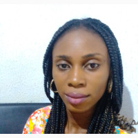 Experienced Sales Agent Available in Abuja