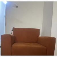 Neat and Comfy 2-Seater and 1-Seater Couch for Small Living Room