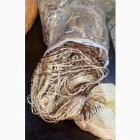 String Door Curtain Beads Room Divider