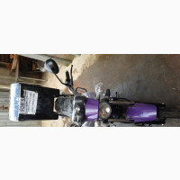 New Autodex 2020 Purple