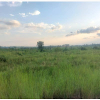 Residential Land of 400 Square Meters in Asaba