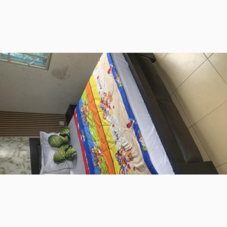 Bes Frame and Mattress