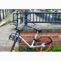 Maintenance Free Aluminium Sports Adult Bike