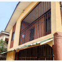 A Story Building on a Plot for Sale