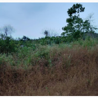 7000 Plots of Land for Sale in Enugu
