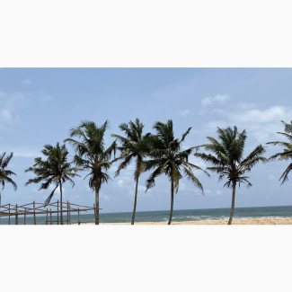 Beach View Land With a 50% Discount Offer for Sale