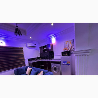 Stylish and Unique One Bedroom Apartment