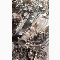 Mazda M P v Engine
