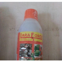 Lara Force 1L