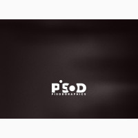Professional Graphics Designer