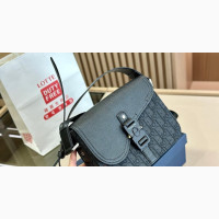 Dior Lùxury High Quality Designer Cross Bag