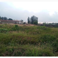 5 Plots of Land at Akobo Main Express Road