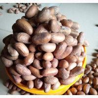 Bitter Kola - The Ultimate Health Booster