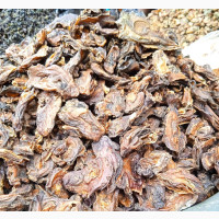 Mgbe ( Dried Oyster)
