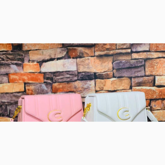 Coach Minibag
