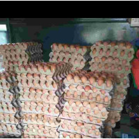 Fresh Eggs from Farm - Nationwide Delivery Available