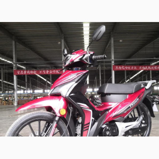 New Twinco Dynasty 2023 Red