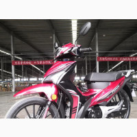 New Twinco Dynasty 2023 Red